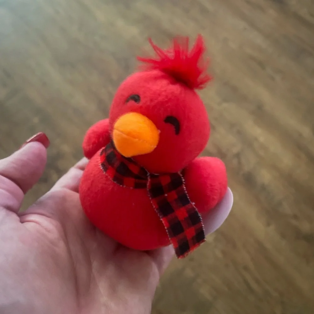 Memorial cardinal & card NEW